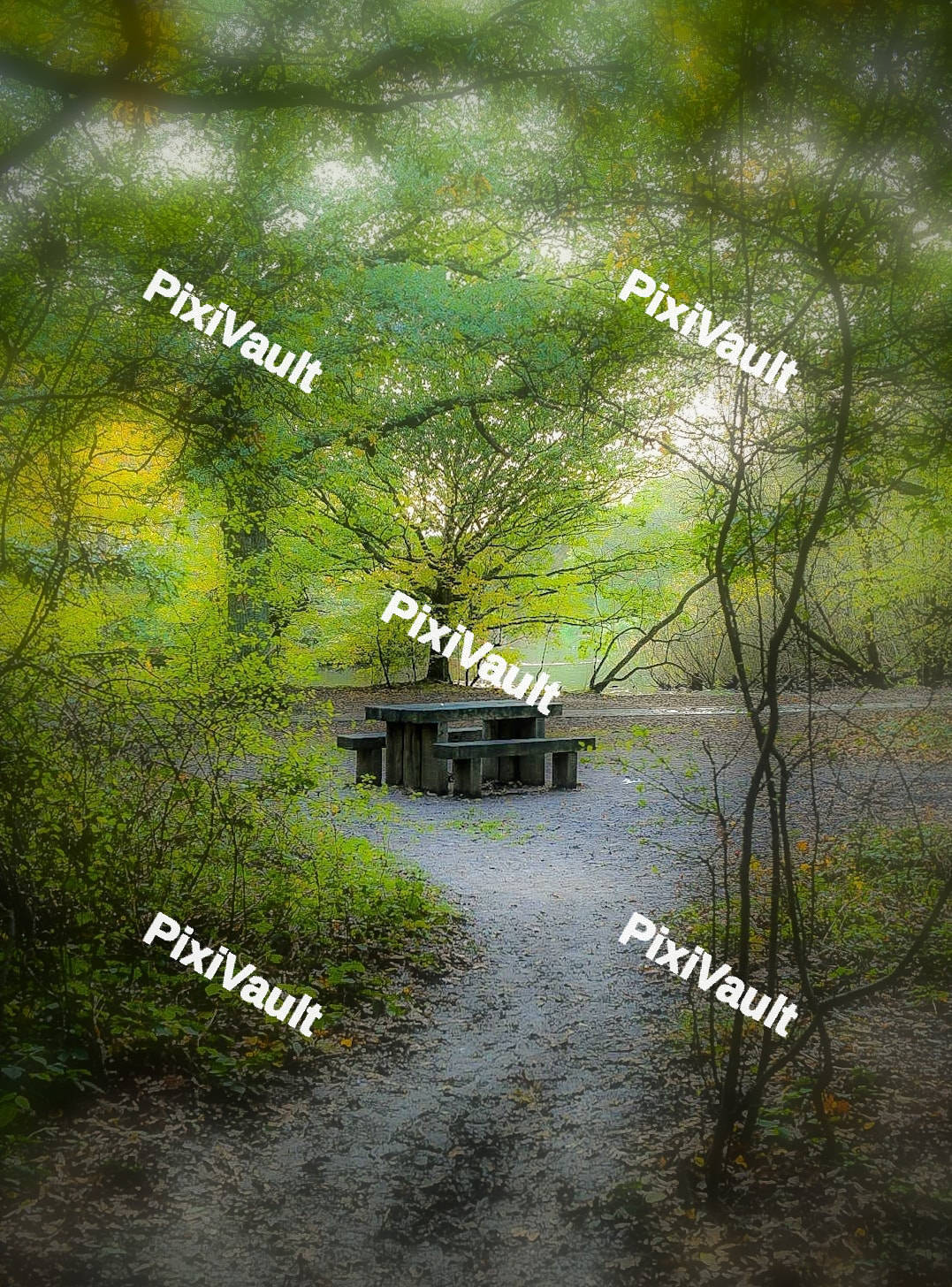 Park Bench